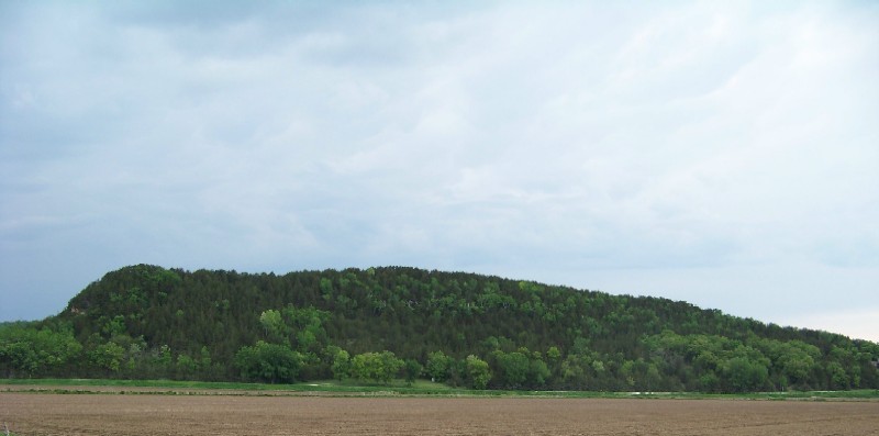 Elephant Bluff - photo by Errin Wilker 2008