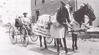 Mail carrier