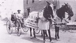 Old time mail carrier, unidentified