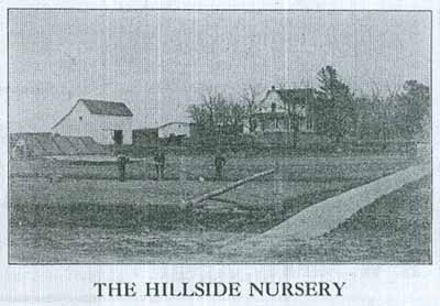 Hillside Nursery