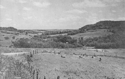 Summer scene near Mederville