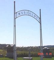 Musfeldt cemetery - photo by P. Peterson, 2005