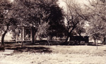 City Park, Ida Grove