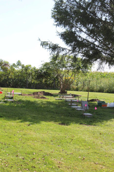 County Home Cemetery