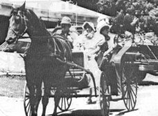 Horse and buggy holding people dressed in period costume