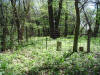 McClure Cemetery, Jones County, Iowa