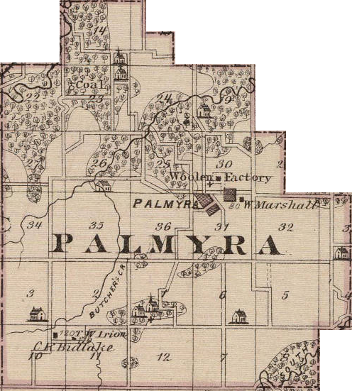 Palmyra Township