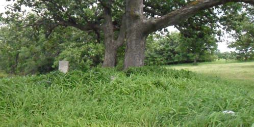 Randolph Cemetery