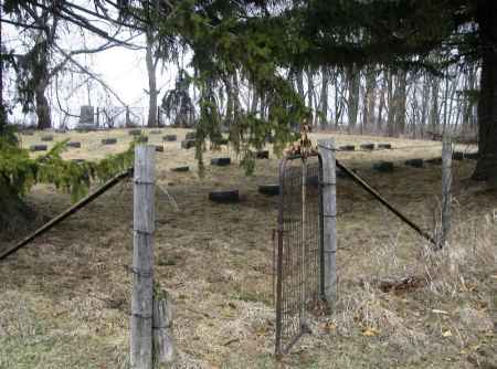 Aase Haugen cemetery - photo by Bill Waters