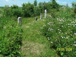 Pagin cemetery - photo by Dana Douglass